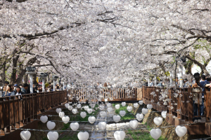 '��64ȸ ���ر�����' ���� �� 27�� �������߽��� ���� ����