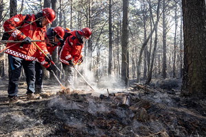 ��� �������� ��̻� ��, 16�ð� ���� ����