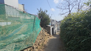 »ê±æ·Î µµ¼°ü ¿À°¡´ÂÁö ¸ô¶ú´Ù´Â ±¸Ã»