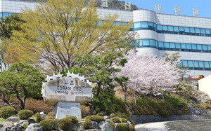 ���Ŵ� ���ǰ� �� ���ش١������������а��� ����