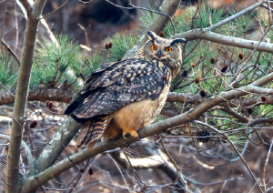 ��꿡�� õ����买 �����ξ��� ���� ���� ��� ����