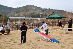 ������̿� �Բ� ������䡱 ��ꡤ���� �ݷ��� ���� Ȱ¦