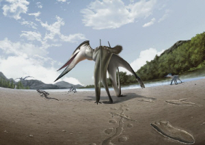 �ͷ� ���̻�� ���߰����� ���ڱ� ȭ�� �߰ߡ���Ǳ� �������� ����