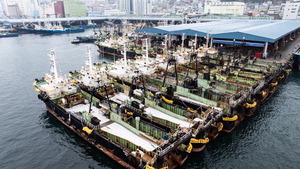 ���� �������� ���� ��ޡ� �ǰ�����, ���� ������ �°���