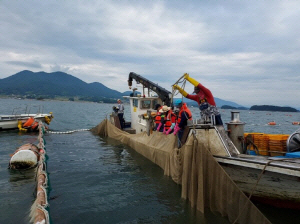 û³â ¾î¼± ÀÓ´ë »ç¾÷ ¡®¿ä¶õÇÑ ºó ¼ö·¹¡®