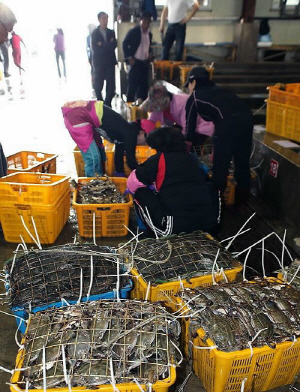 ¿Ã °¡À»¿¡´Â ²É°Ô ¸¶À½²¯ ¸ÔÀ¸·Á³ª¡¦ ¾îȹ·® Àü³âº¸´Ù Å©°Ô ´Ã¾î