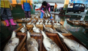 �泲 ���� �뱸 ��ȹ��, ���� ���������⺸�� 2�� �þ�