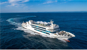 ���ڵ� �޴���ó�� ����Ʈ���� ���� ������Ʈ������ ���� ������� ����