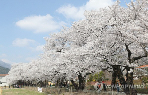 ��� ���ֱ� ��õ�� �������� ���� ����