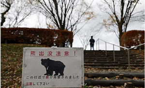 ÀϺ» °õ ½À°Ý ÇÇÇØ È®»ê¡¦7°³¿ù°£ »ç»óÀÚ 196¸í