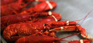 ������ �ٴ尡�� ��ä�� ������ �ҹ����������� ����