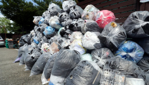 ȣ������ ���� ���Ⱑ ����������������� �����ֳ�