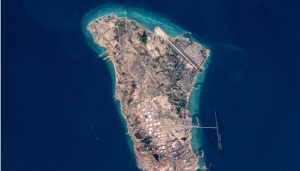 �� 82������� ��õ �� �ߵ� ���������� ����